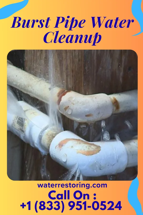 Burst Pipe Water Cleanup in West Unity, OH