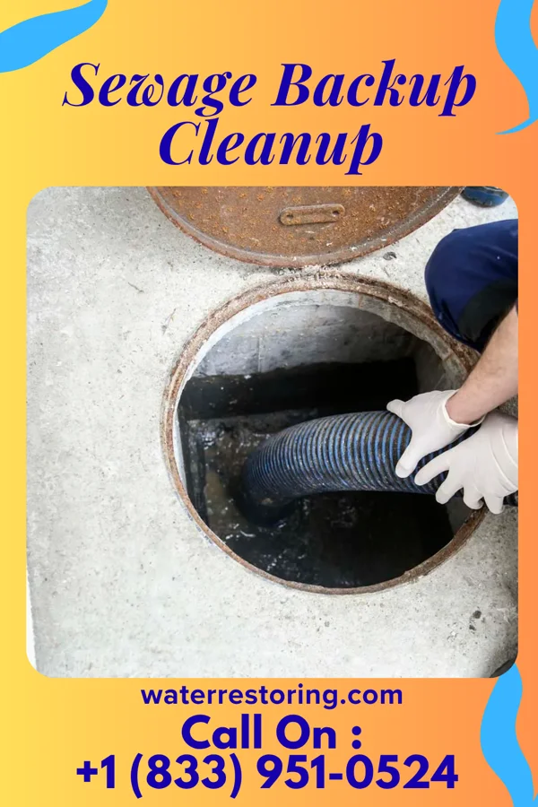 Sewage Backup Cleanup in West Unity, OH