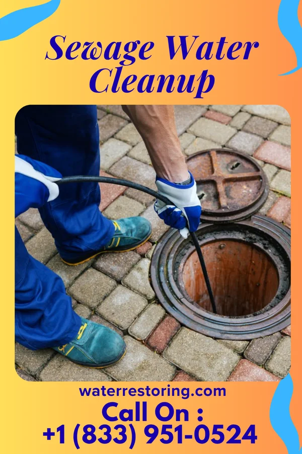 Sewage Water Cleanup in West Unity, OH