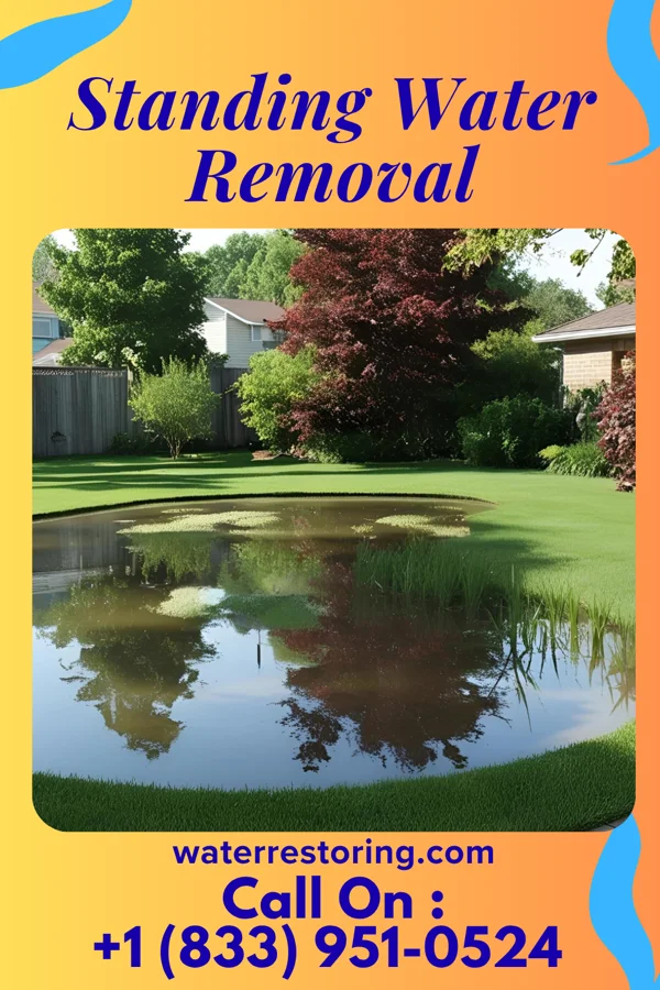 Standing Water Removal in West Unity, OH
